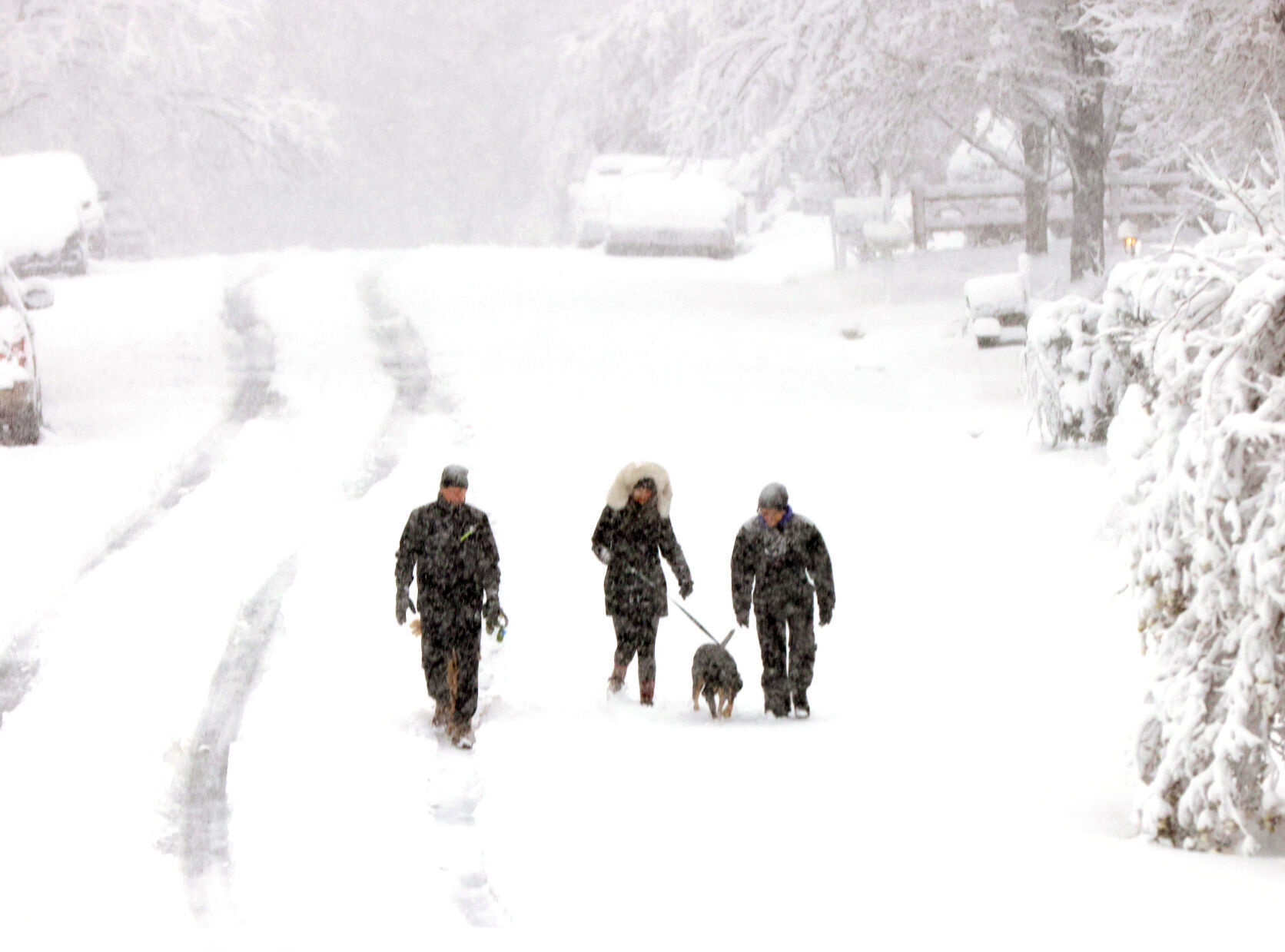010322-cdp-news-snow160.JPG